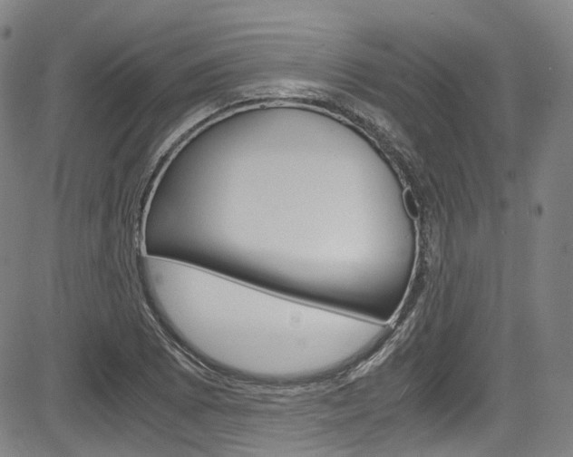 X0000083981073200702160747