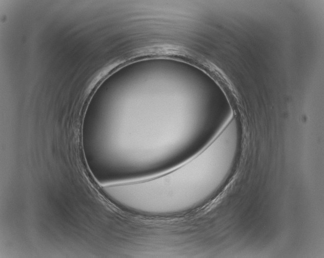 X0000083981081200702160747