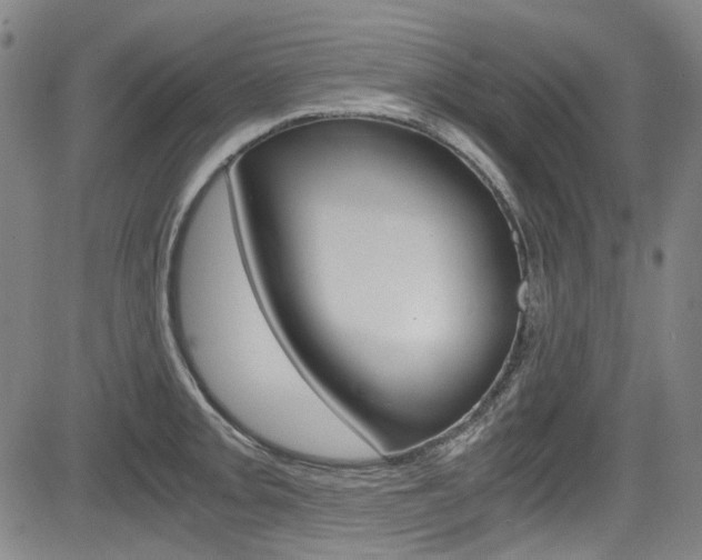 X0000083981093200702160746