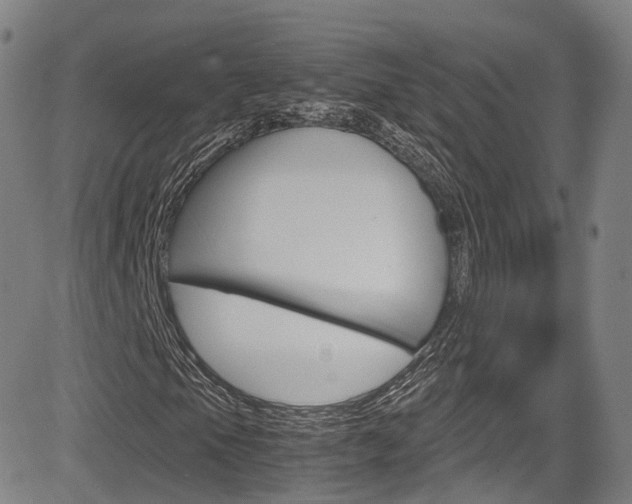 X0000083981105200702160745
