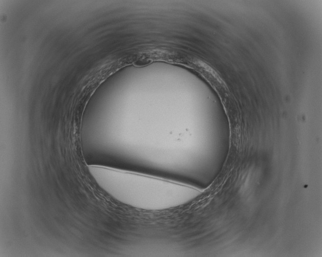 X0000083981111200702160746