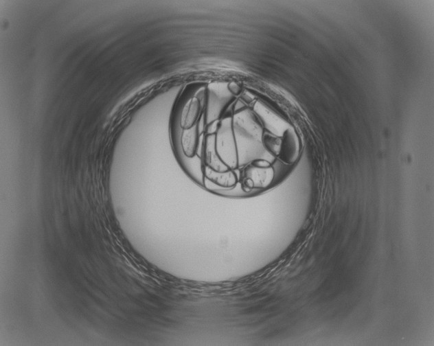 X0000083981112200702160746