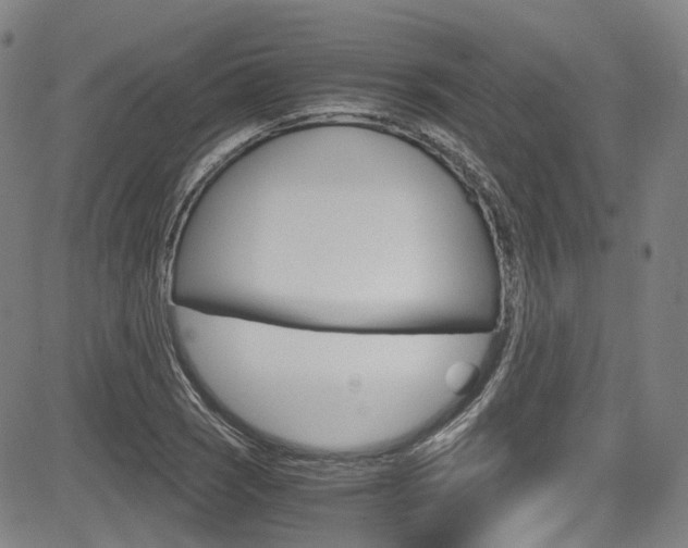 X0000083981121200702160746