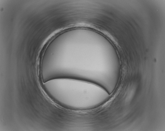 X0000083981126200702160746