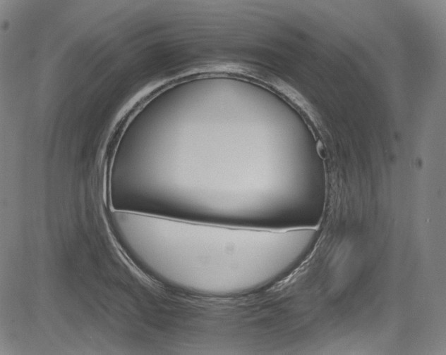 X0000083981127200702160746