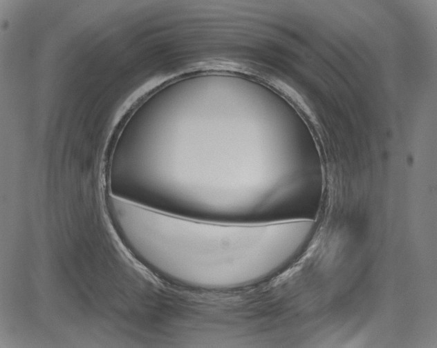 X0000083981133200702160746