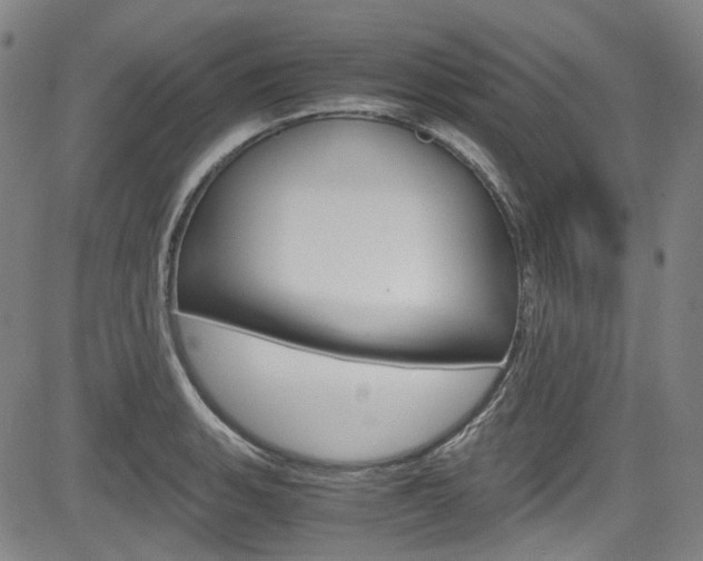X0000083981135200702160746