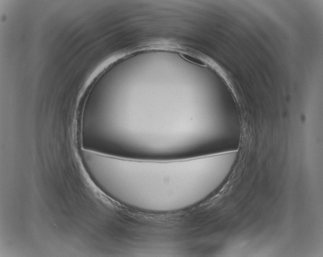X0000083981147200702160746