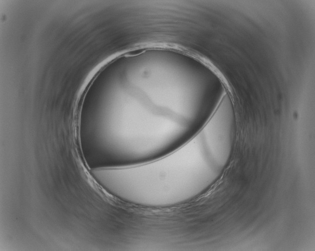 X0000083981148200702160746