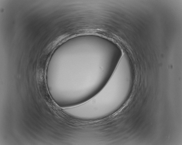 X0000083981161200702160745