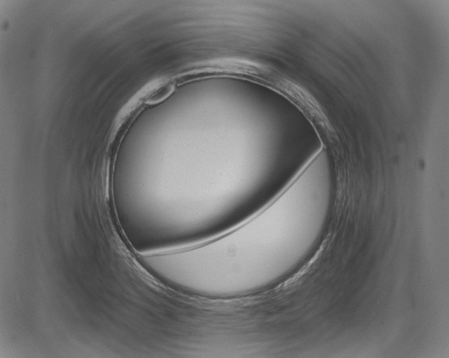 X0000083981180200702160745