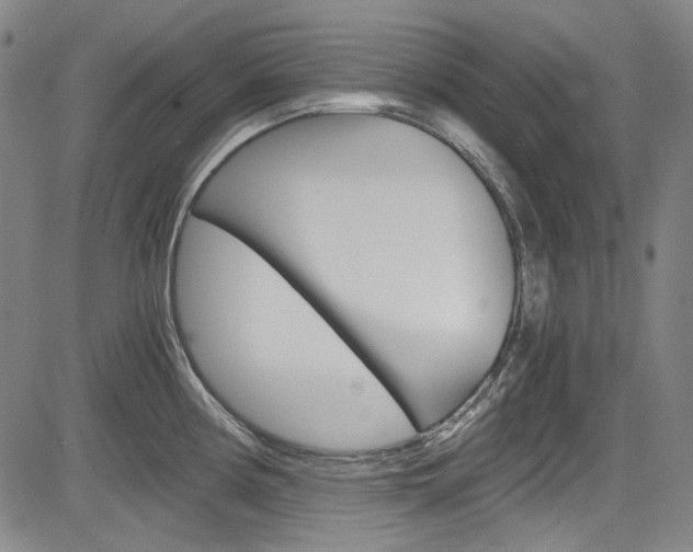 X0000083981194200702160745