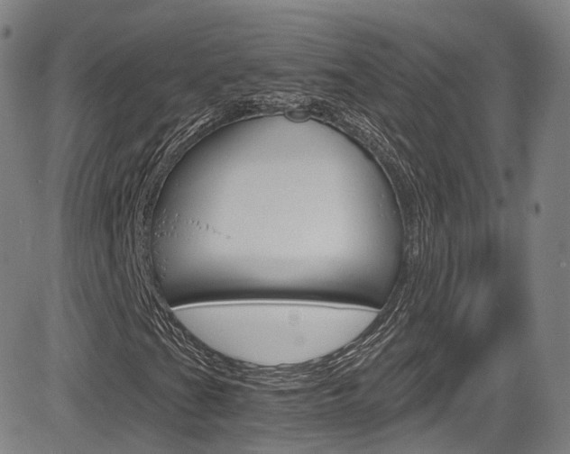 X0000083981201200702160744