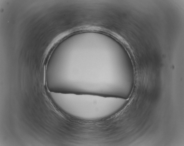 X0000083981223200702160744