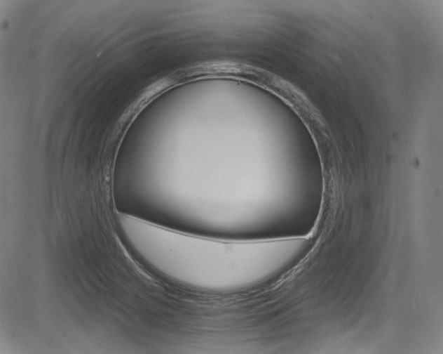 X0000083981225200702160744