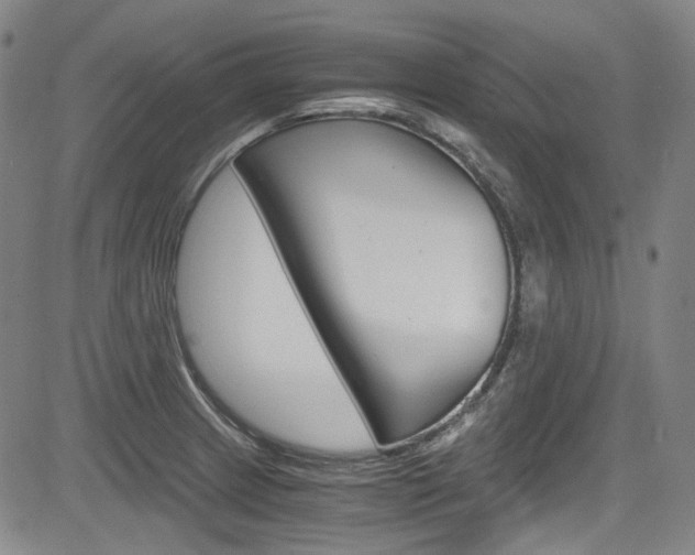 X0000083981233200702160744