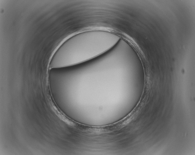 X0000083981236200702160744