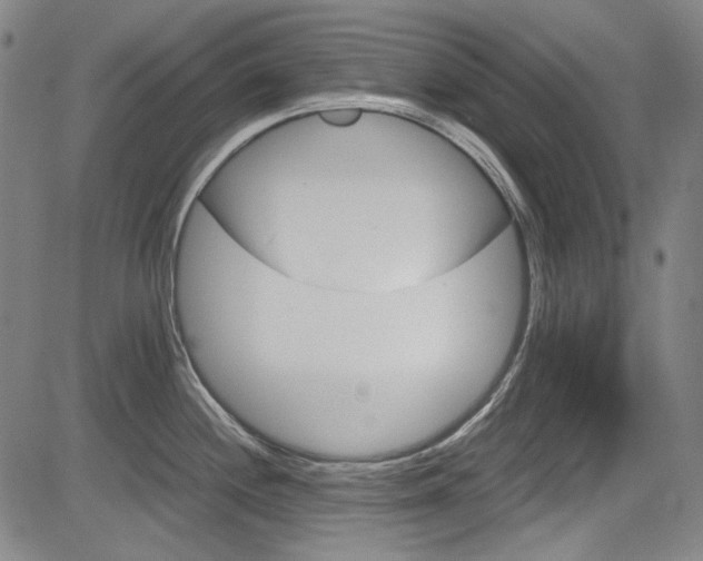 X0000083981244200702160745