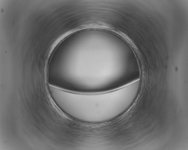 X0000083981246200702160745