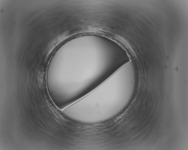 X0000083981260200702160744