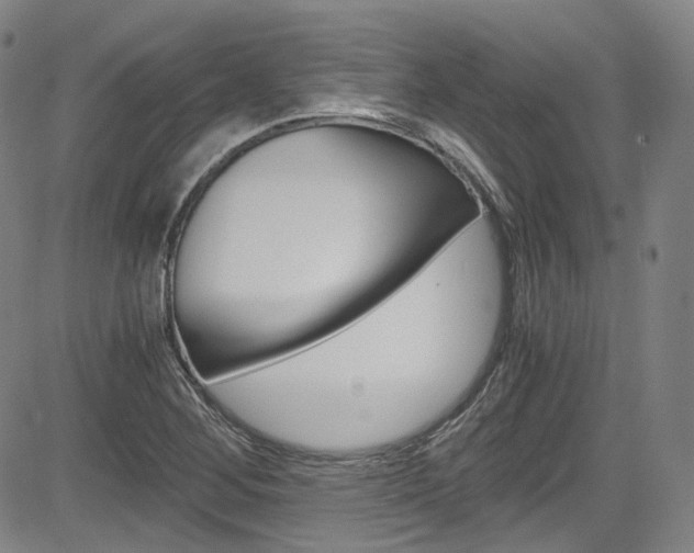X0000083981268200702160744