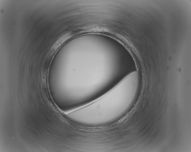 X0000083981273200702160743