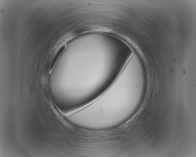 X0000083981281200702160743