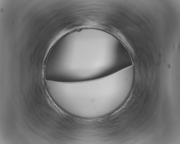 X0000083981292200702160743