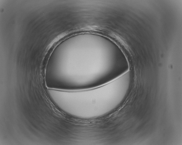 X0000083981308200702160743
