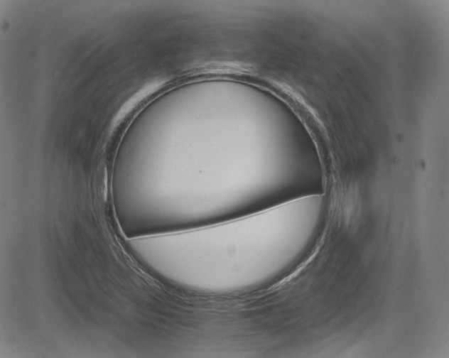 X0000083981317200702160743