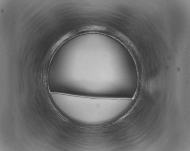 X0000083981321200702160743