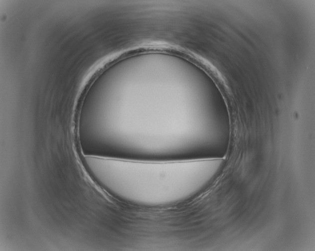 X0000083981327200702160743