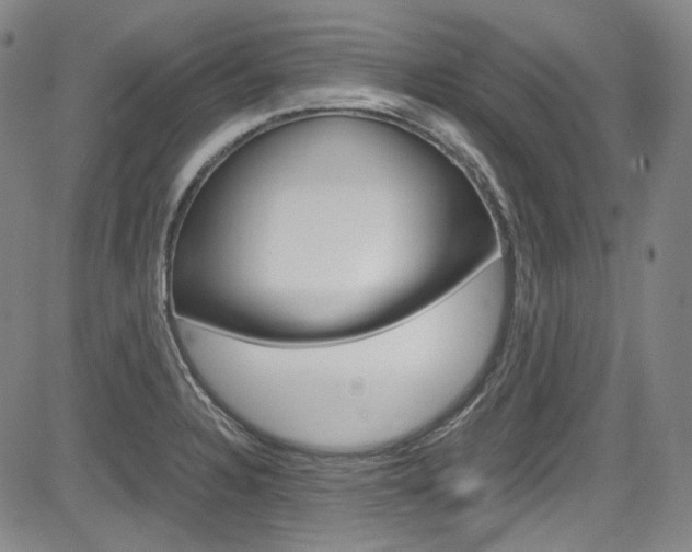 X0000083981328200702160743