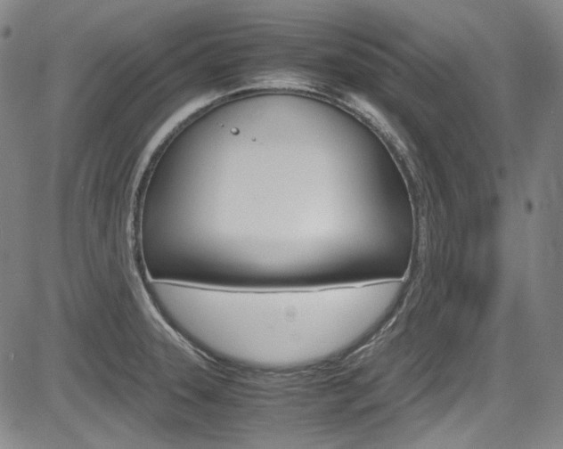X0000083981331200702160743