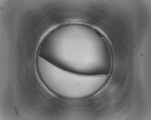 X0000083981333200702160743