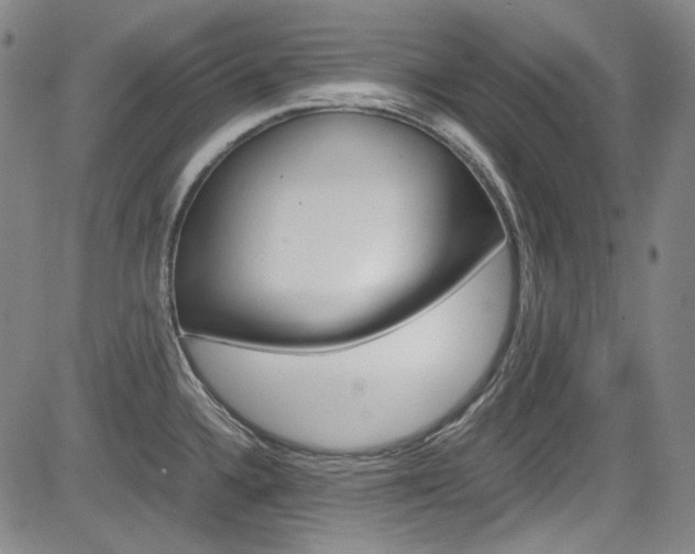 X0000083981336200702160743