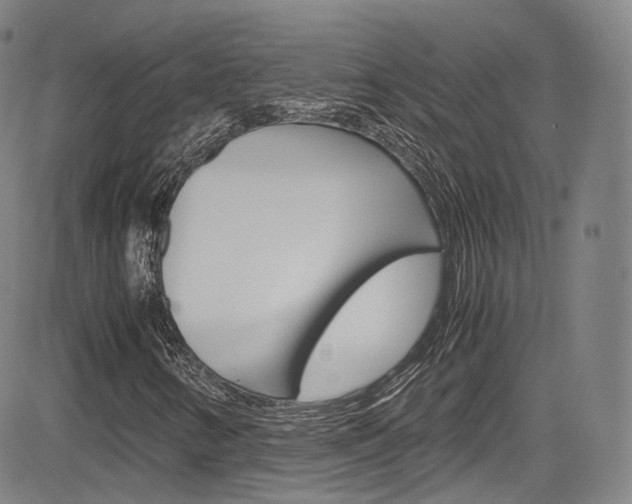 X0000083981346200702160742