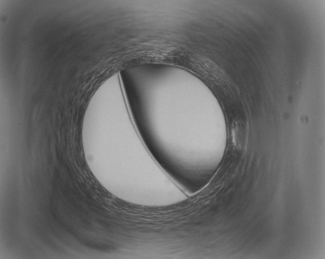 X0000083981347200702160742