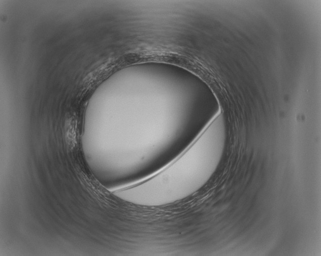 X0000083981348200702160742
