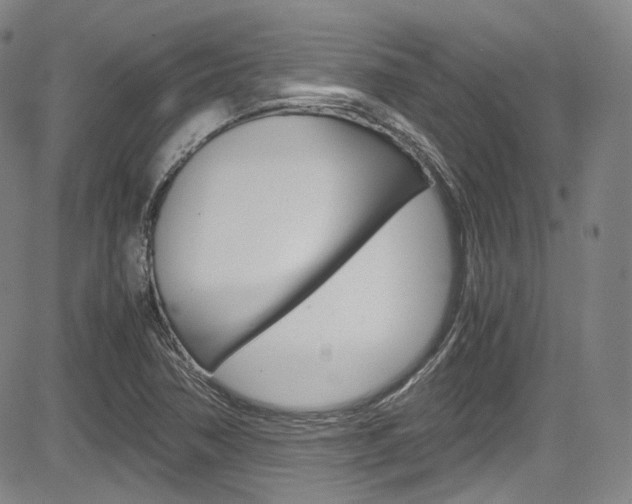X0000083981362200702160742