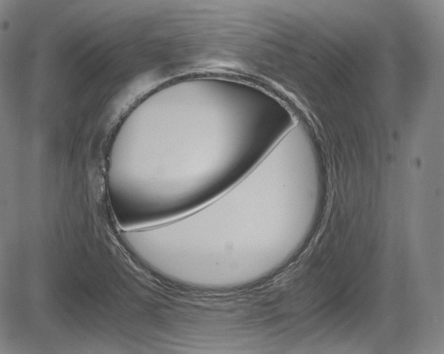 X0000083981363200702160742