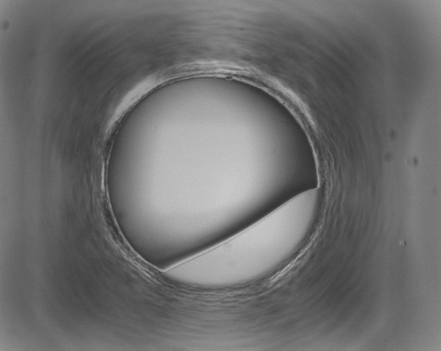 X0000083981365200702160742