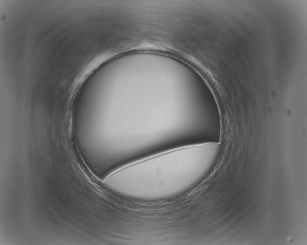 X0000083981367200702160742