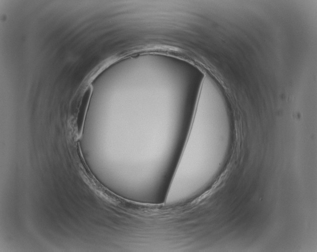 X0000083981369200702160742