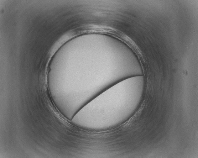 X0000083981370200702160742