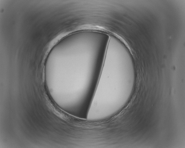 X0000083981371200702160742