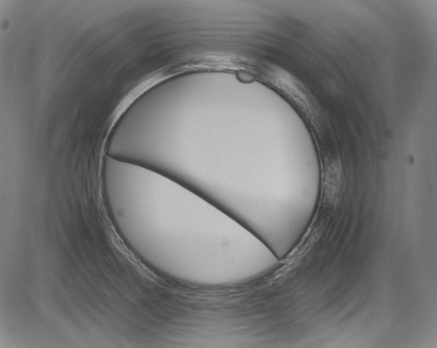 X0000083981378200702160742