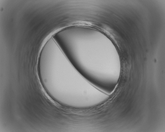 X0000083981379200702160742