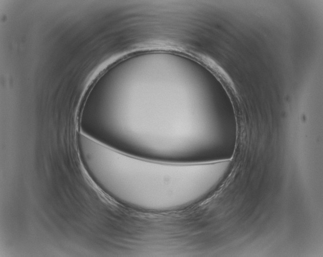 X0000083981380200702160742