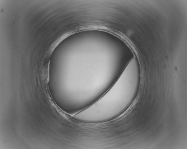 X0000083981385200702160742